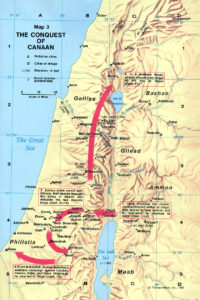 Click to enlarge
