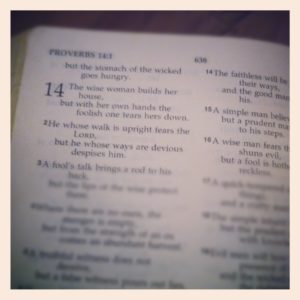 proverbs-14-1